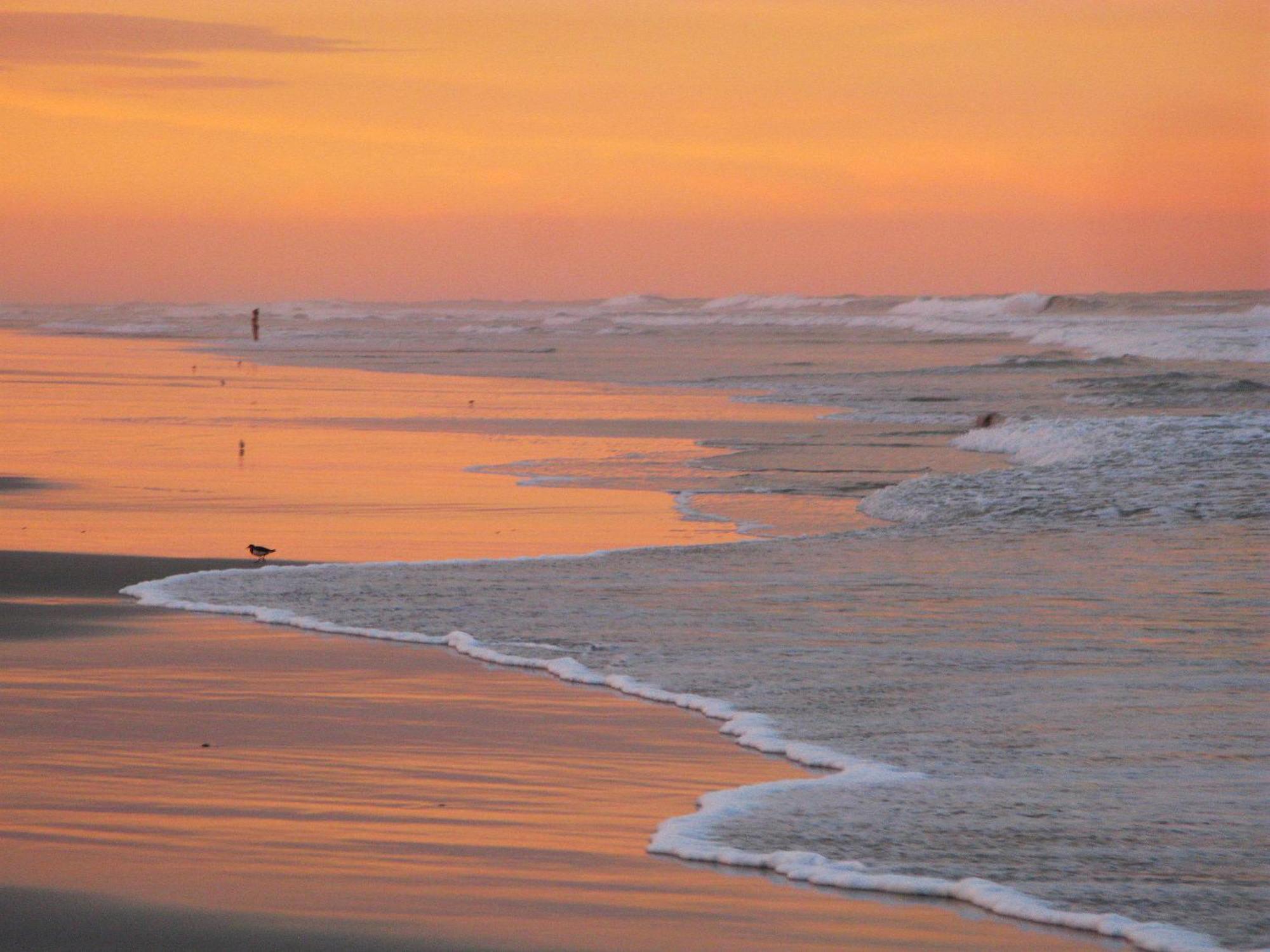 Guy Harvey Resort On Saint Augustine Beach Extérieur photo